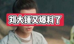 爆料娱乐圈的博主大锤是谁,大锤身份之谜揭晓