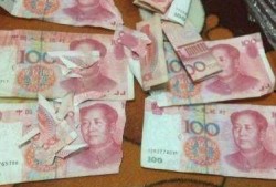 爆料二哈视频大全集下载