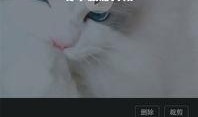 黑猫网红爆料视频大全下载,揭秘网络红人幕后真相