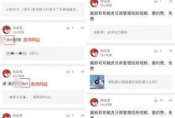 哈哥被爆料视频大全最新,揭秘背后真相与争议