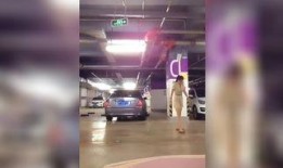 地下车库电影在线观看,揭秘神秘事件在线免费观看