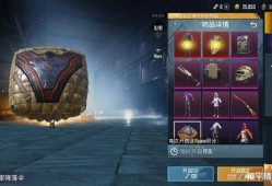 吃鸡体验服最新军需爆料,吃鸡体验服爆料揭秘