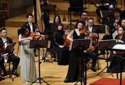 交响人生 在线观看,一场跨越时空的音乐之旅