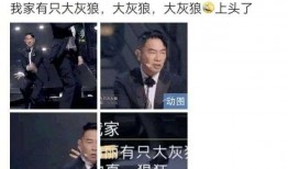 港星综艺爆料最新一期是哪一年,揭秘年度热门话题