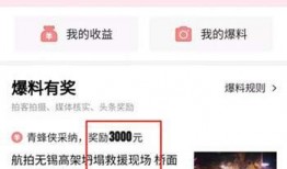 头条爆料别人视频怎么看,如何轻松查看头条爆料中的他人视频内容