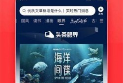 海南今日头条新闻爆料,揭秘神秘项目，投资热潮背后的真相揭晓