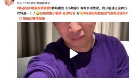 爆料婆婆最新视频全集,家庭矛盾与真相大曝光