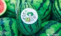 杭州瓜妈最新爆料,揭秘网红瓜妈背后的惊人真相！