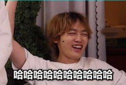 娱乐吃瓜酱第一遍2,第一波爆料，揭秘娱乐圈幕后真相