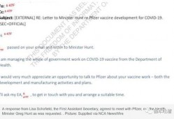 辉瑞高管 爆料最新消息,最新疫苗研发进展及市场策略大揭秘