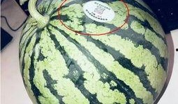 网红吃瓜墙,揭秘娱乐圈幕后真相