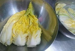 韩国泡菜爆料视频大全,视频大全带你领略传统美味制作过程