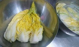 韩国泡菜爆料视频大全,视频大全带你领略传统美味制作过程