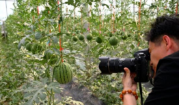 风筝在线观看西瓜,揭秘剧情高潮与情感纠葛