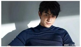 娱乐圈爆料陈哲远,揭秘明星背后的故事