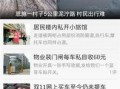 爆料新闻入口,爆料新闻入口背后的惊人真相