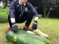 汾阳大瓜爆料视频,一场惊心动魄的真相大曝光