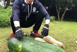 汾阳大瓜爆料视频,一场惊心动魄的真相大曝光