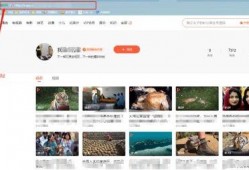 相亲爆料视频素材无水印,真实情感碰撞，素人故事引共鸣