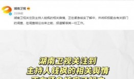 娱乐圈吃瓜的词汇,揭秘明星幕后故事