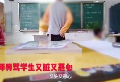 学生殴打怎么爆料他呢视频,学生殴打事件视频引发社会关注